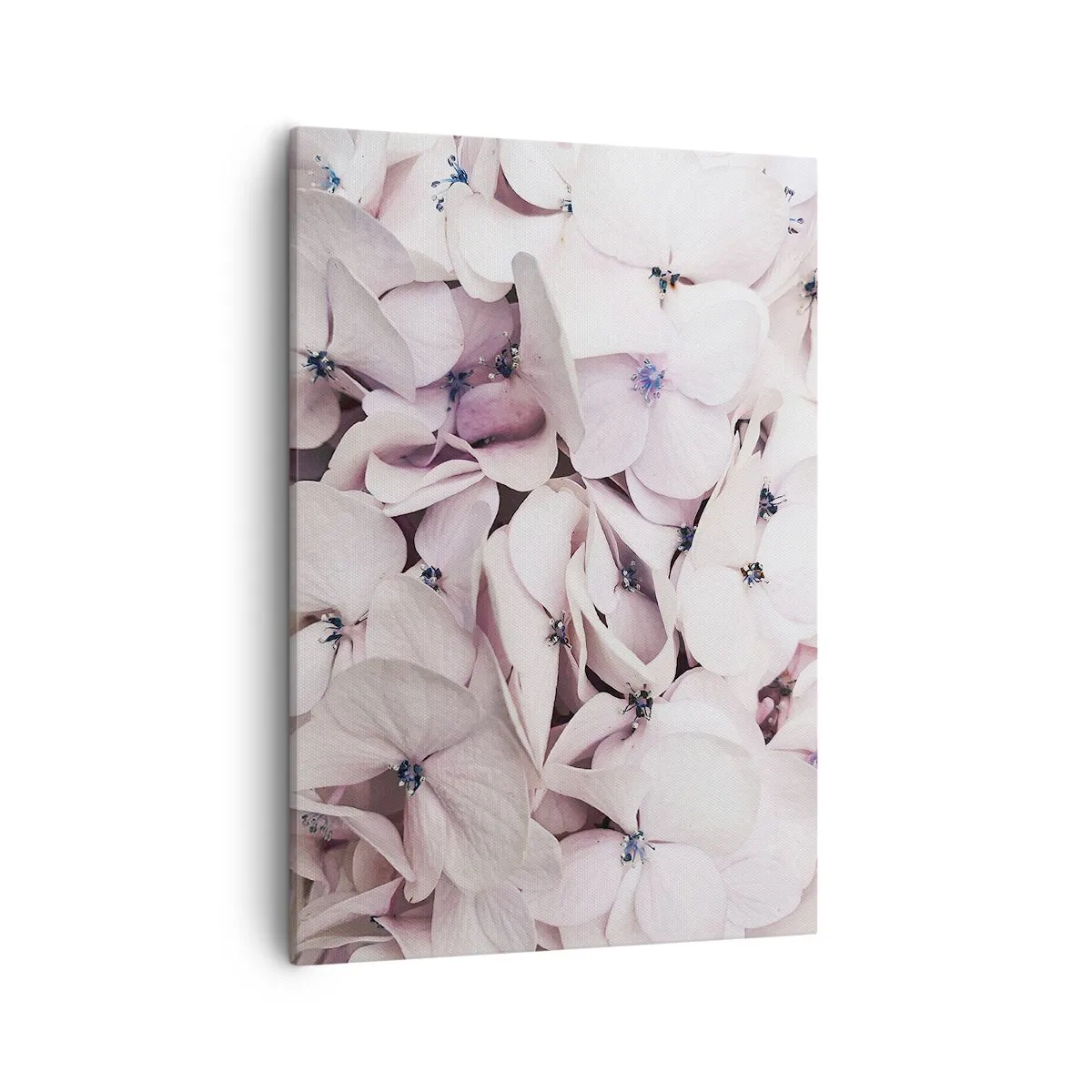 Obraz na plátně - V záplavě květin - 50x70 cm