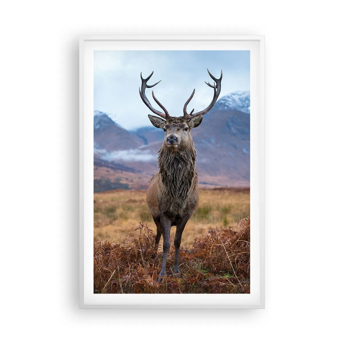 Plakát v bílém rámu - Na vlastní půdě - 61x91 cm