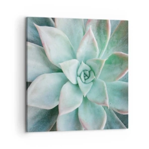 Obraz na plátně - Srdce pouště - 60x60 cm