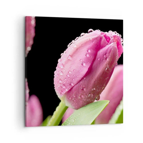 Obraz na plátně - Liliový sen v rose - 50x50 cm