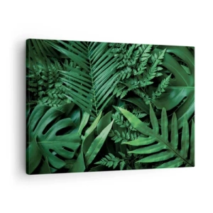 Obraz na plátně - Zelené tropické listy v husté a přirozené kompozici - 70x50cm - Objaté v zeleni - Moderní nástěnná dekorace do obývacího pokoje a ložnice ARTTOR