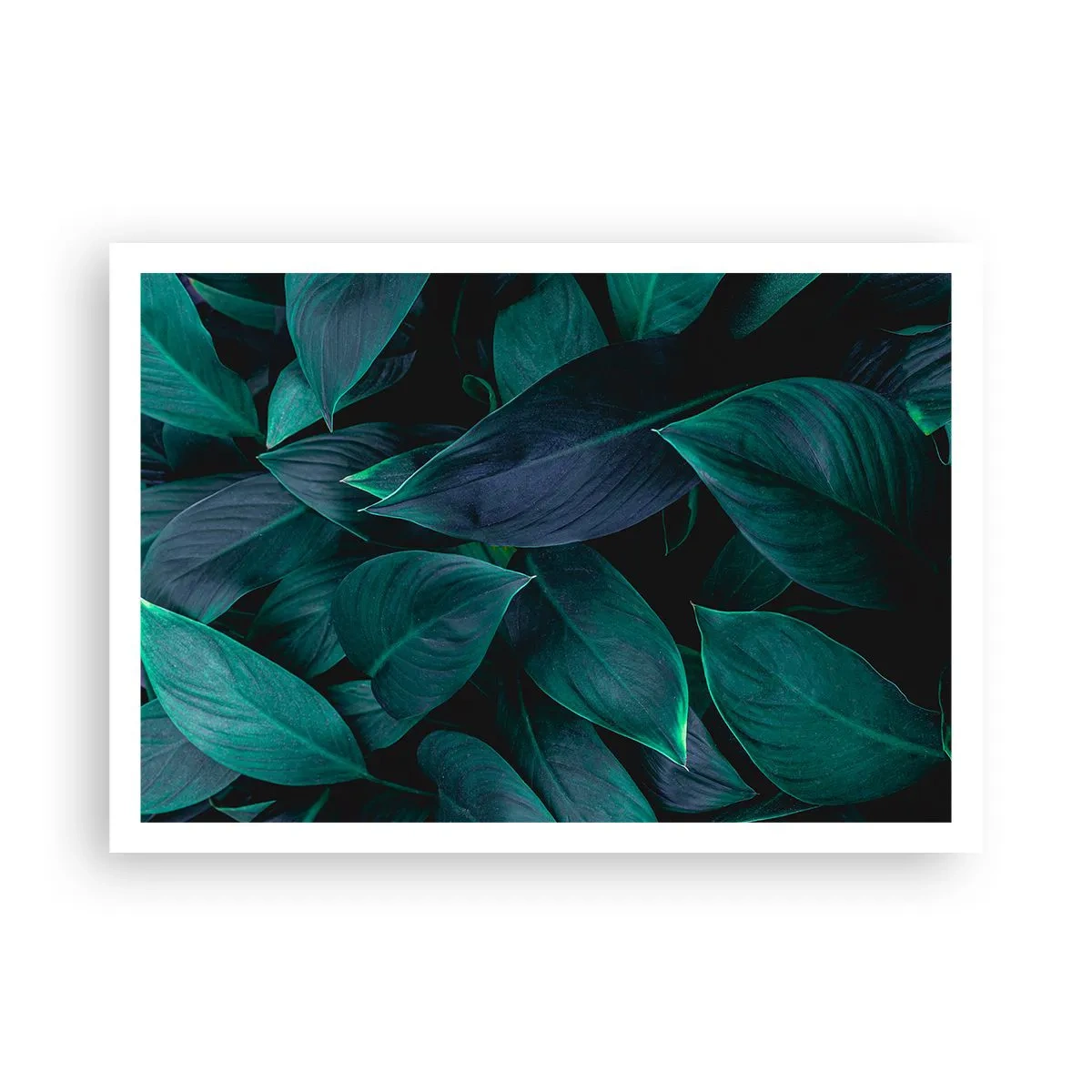 Plakát - Zeleň sama o sobě - 100x70 cm