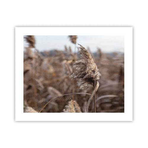 Plakát - Čas odletět s větrem - 50x40 cm