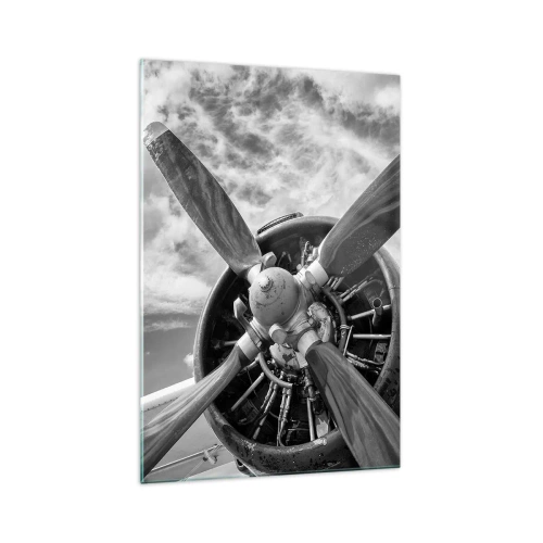 Obraz na skle - Dobyvatel oblohy - 70x100 cm