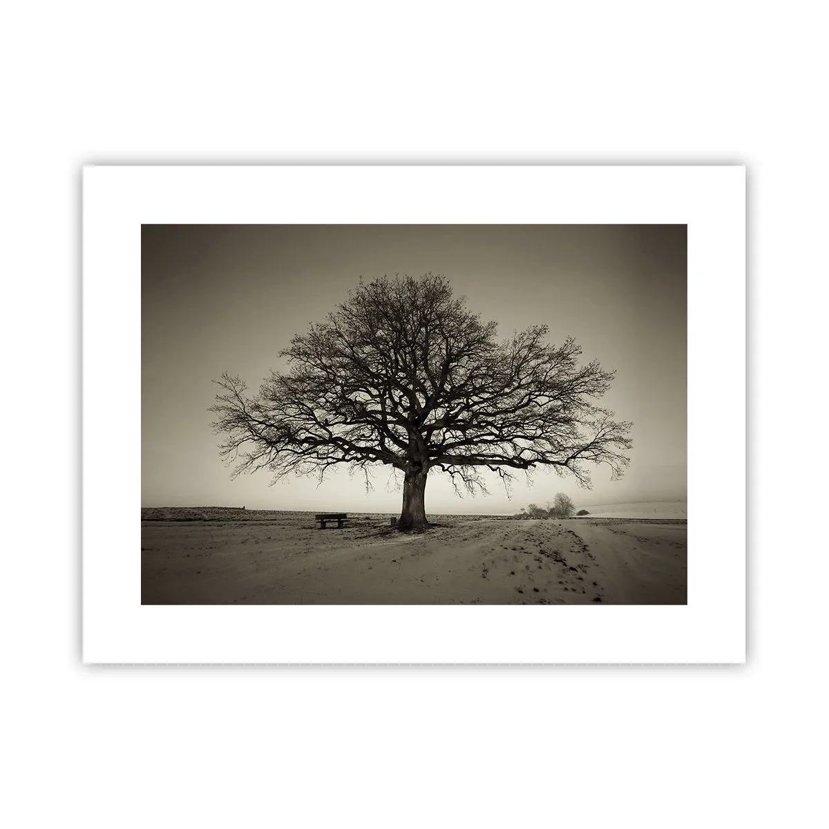 Plakát - Odtud až na věčnost - 40x30 cm