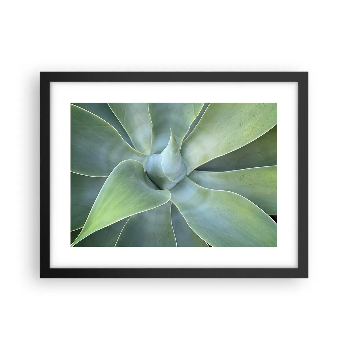 Plakát v černém rámu - Zrození zeleně - 40x30 cm