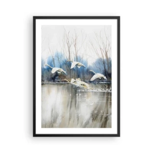 Plakát v černém rámu - Hejno labutí plovoucích nad vodou v malířském stylu - 50x70cm - Jako v povídce o divokých labutích - Moderní nástěnná dekorace do obývacího pokoje a ložnice ARTTOR