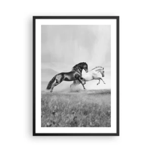 Plakát v černém rámu - Černí a bílí koně cválající dynamicky na pozadí pole - 50x70cm - Andělé a démoni - Moderní nástěnná dekorace do obývacího pokoje a ložnice ARTTOR