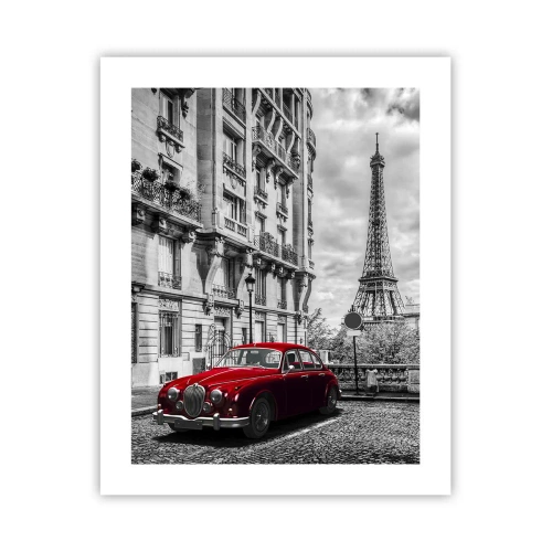 Plakát - Dravec ve městě - 40x50 cm