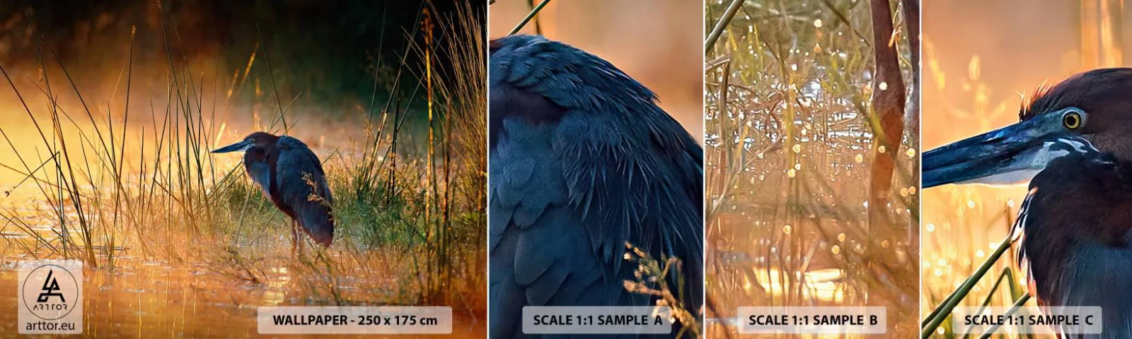 Vzor Fototapety Samolepicí Deluxe Sticker - Ušetřete mě těch fotek - Volavka, Pták, Příroda - 100x30 cm