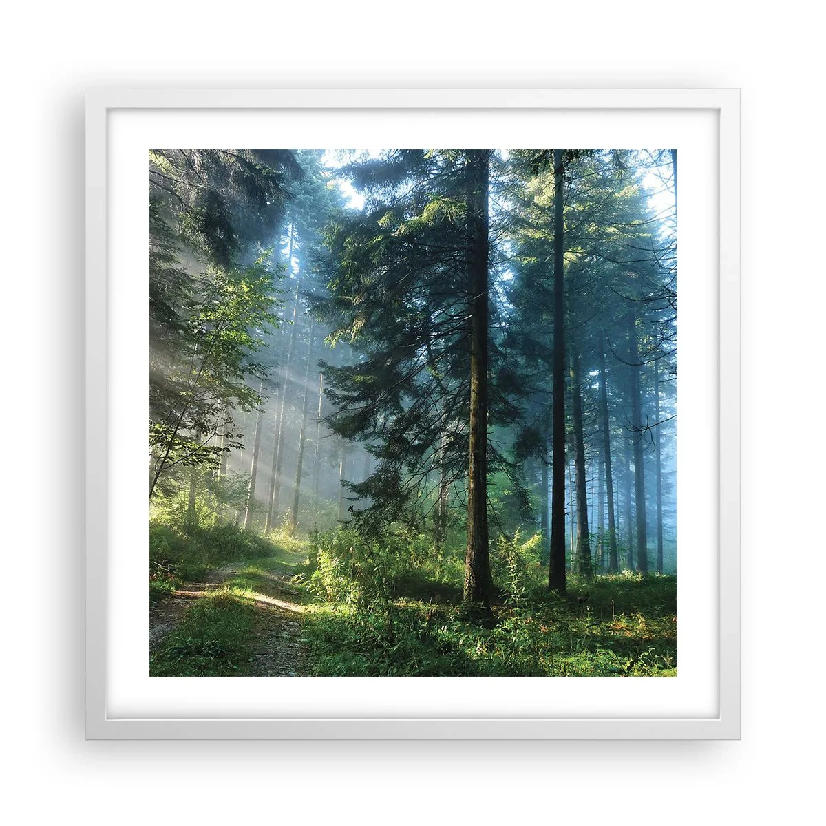 Plakát v bílém rámu - Zářící za úsvitu - 50x50 cm