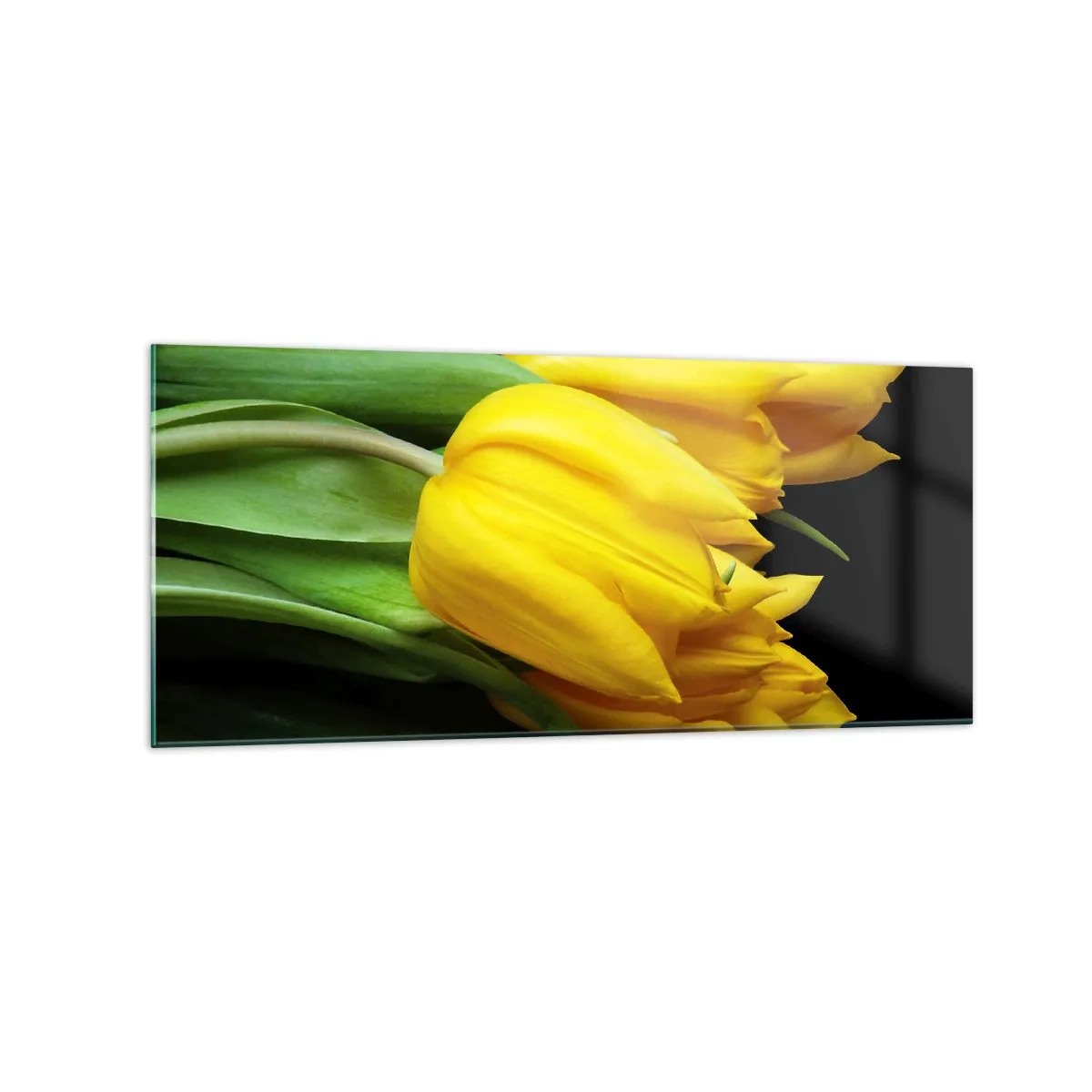 Obraz na skle - Vznikly z čistého slunce - 120x50 cm