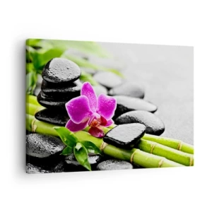 Obraz na plátně - Fialová orchidej, černé kameny a bambus v klidné kompozici - 70x50cm - V klidné rovnováze - Moderní nástěnná dekorace do obývacího pokoje a ložnice ARTTOR