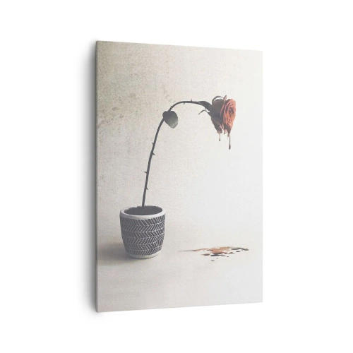 Obraz na plátně - Rosa dolorosa - 70x100 cm