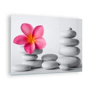 Obraz na skle - Růžový květ proti hromadě bílých kamenů - 70x50cm - Kámen na kameni, a na tom kameni… - Moderní nástěnná dekorace do obývacího pokoje a ložnice ARTTOR