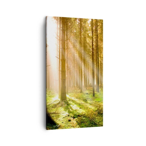 Obraz na plátně - Brzy se objeví elfové - 45x80 cm