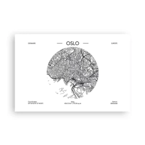 Plakát - Anatomie Osla - 91x61 cm