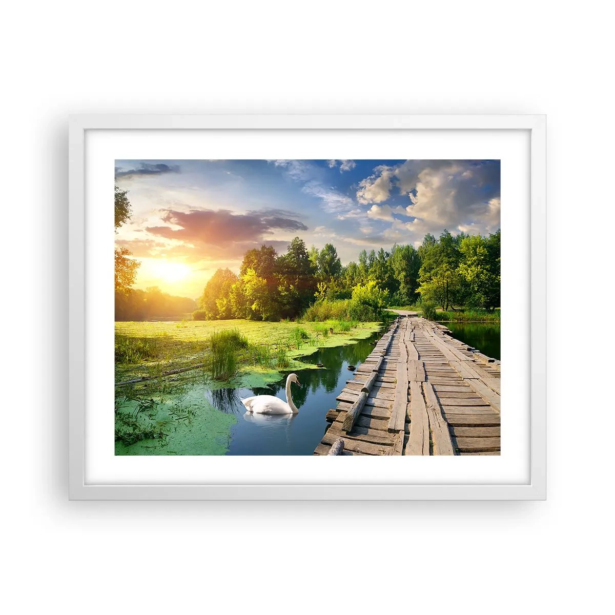 Plakát v bílém rámu - Léto, léto všude - 50x40 cm