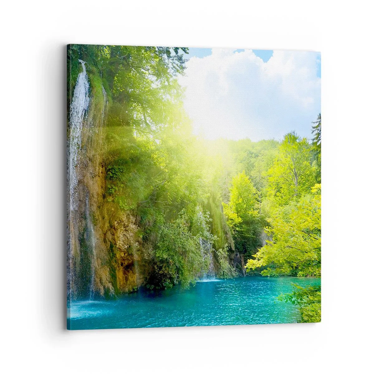 Obraz na plátně - To musí být Eden - 70x70 cm