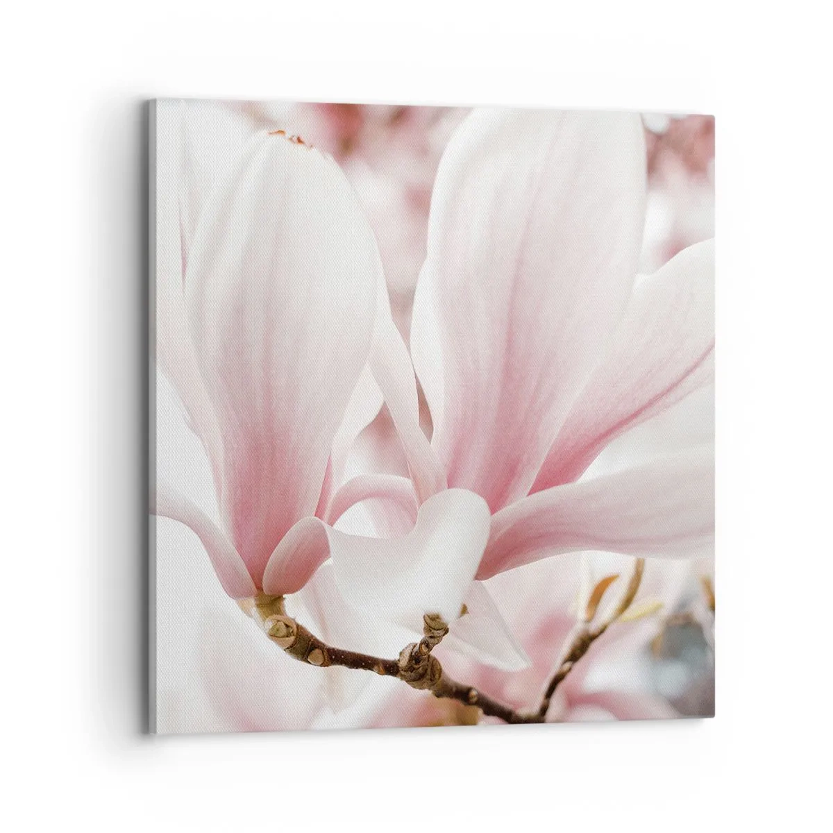 Obraz na plátně - Nesmírnost něžnosti - 70x70 cm