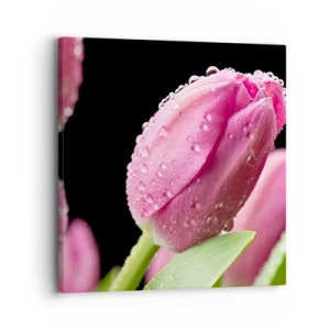 Obraz na plátně - Liliový sen v rose - 30x30 cm