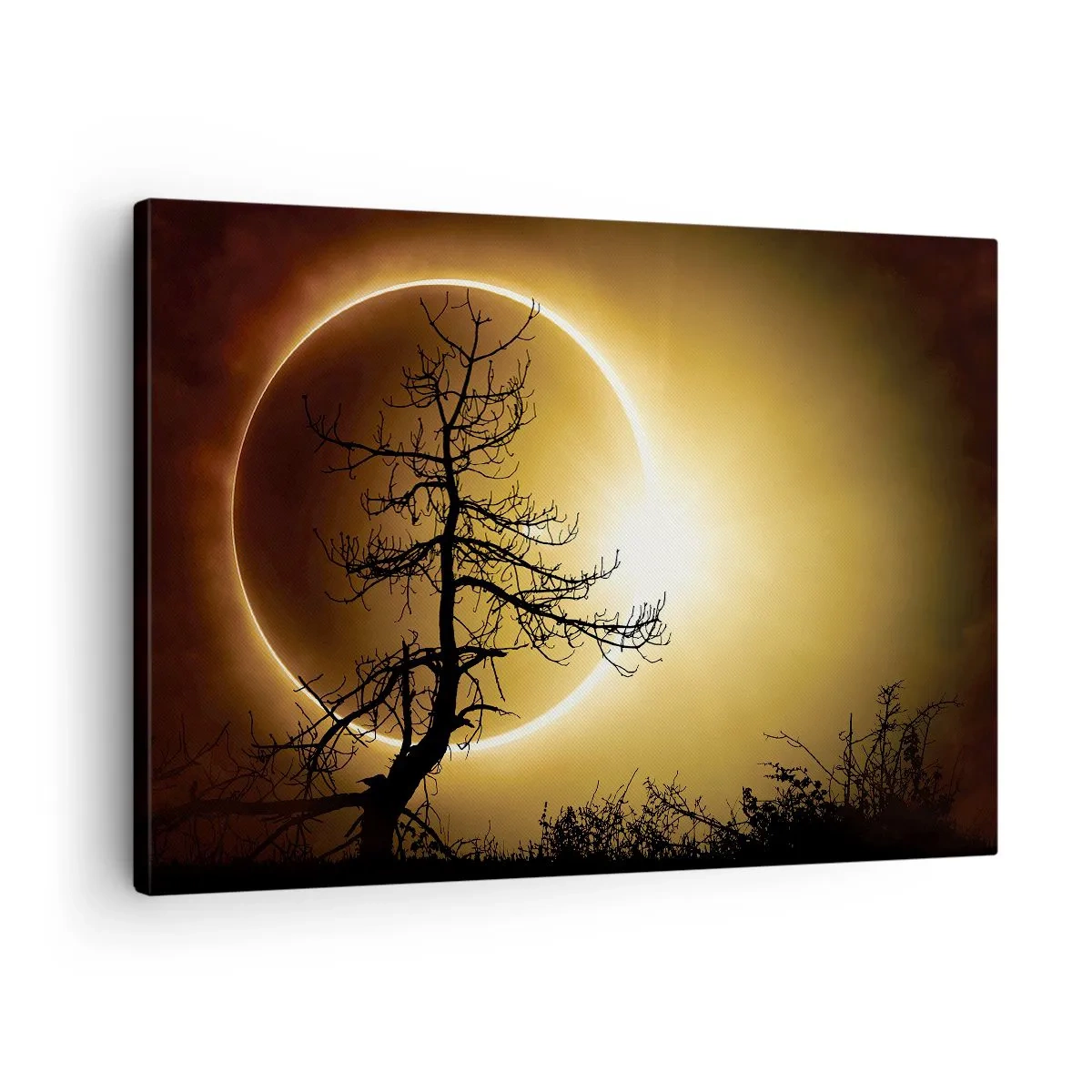 Obraz na plátně - Zatmění Slunce se siluetou stromu v popředí - 70x50cm - Úplné zatmění - Moderní nástěnná dekorace do obývacího pokoje a ložnice ARTTOR
