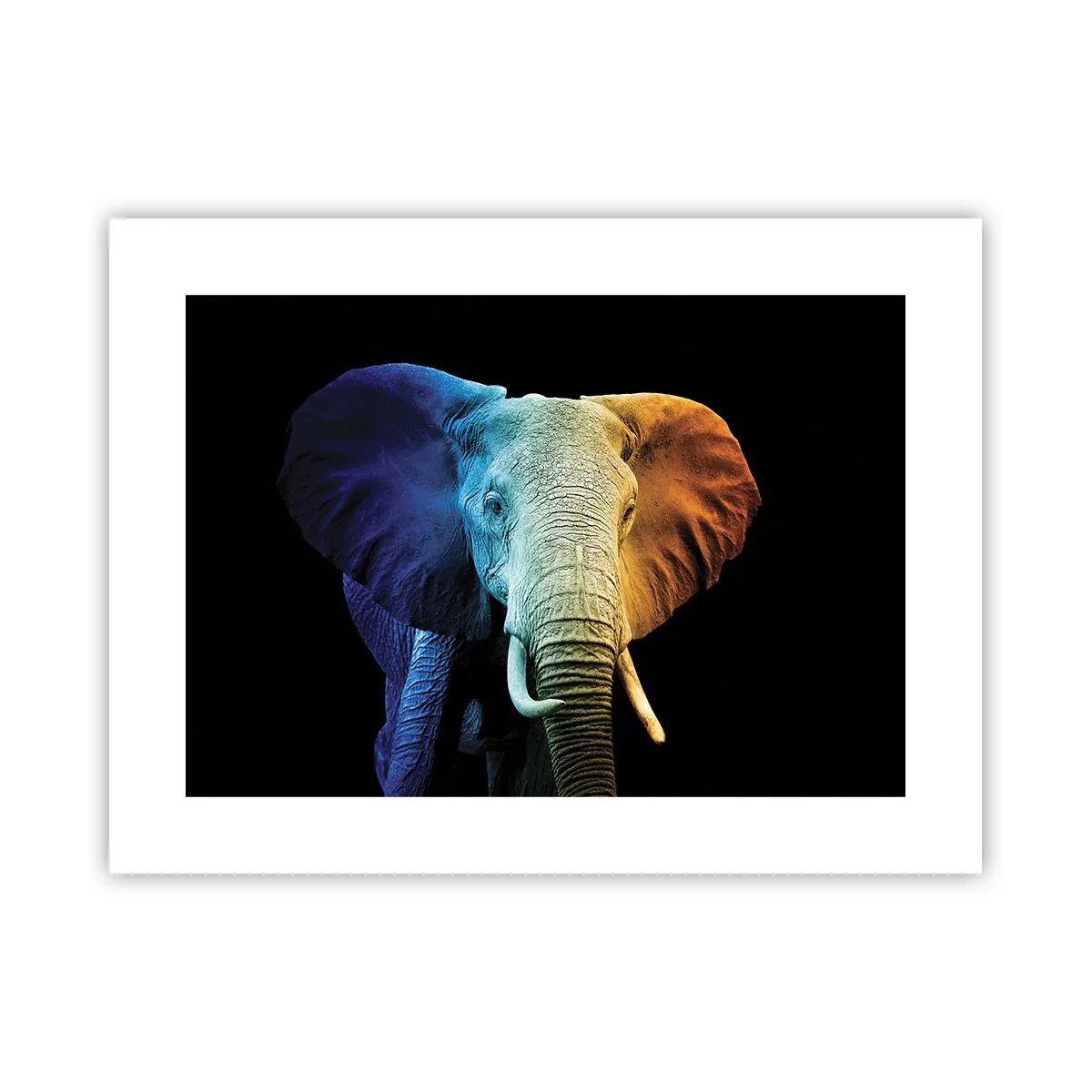 Plakát - Výstřední muž, ale ne podivín - 40x30 cm