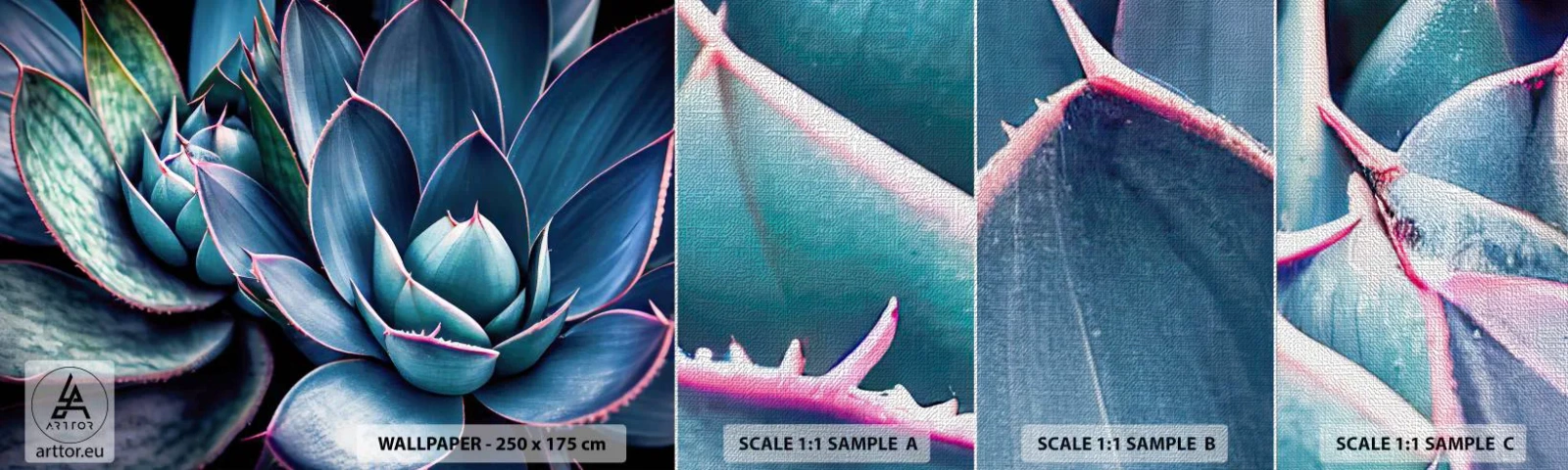 Vzor Fototapety Premium Canvas - Vitální síla - Květiny, Botanika, Sukulenty - 100x30 cm