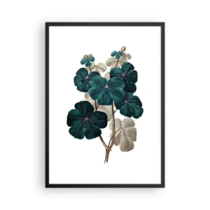 Plakát v černém rámu - Botanická ilustrace s tmavě zelenými listy na světlém pozadí - 50x70cm - Ze starého herbáře - Moderní nástěnná dekorace do obývacího pokoje a ložnice ARTTOR
