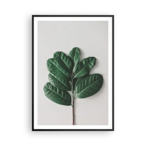 Plakát v černém rámu - Kresba samotné přírody - 70x100 cm