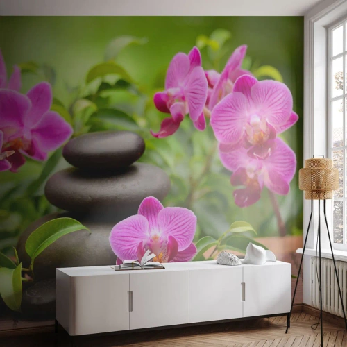 Fototapeta Samolepicí Deluxe Sticker - Pyramida klidu - Květiny, Orchidej, Orchidej - 250x175 cm