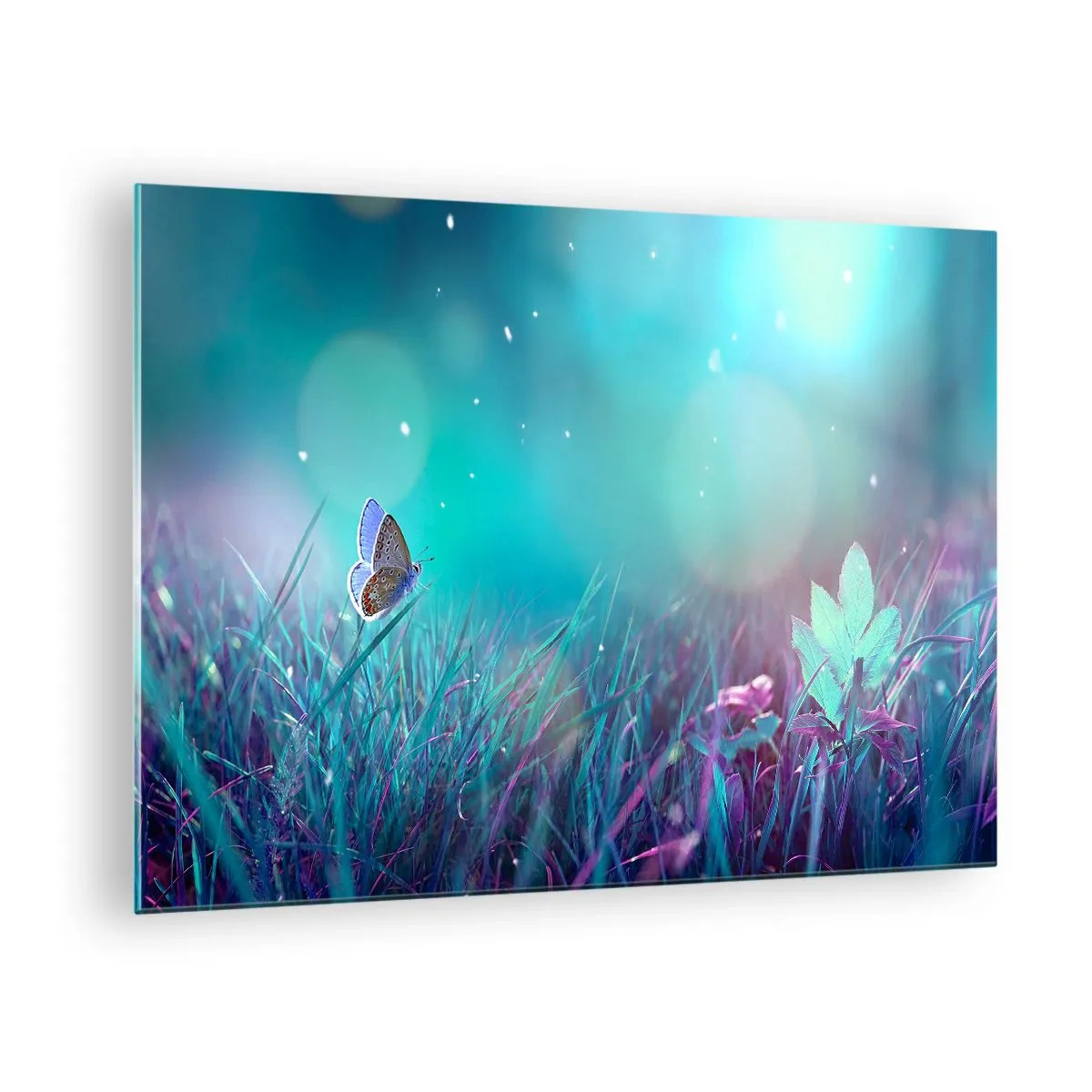 Obraz na skle - Motýl na trávě v pastelovém světle - 70x50cm - Tajemný život louky - Moderní nástěnná dekorace do obývacího pokoje a ložnice ARTTOR