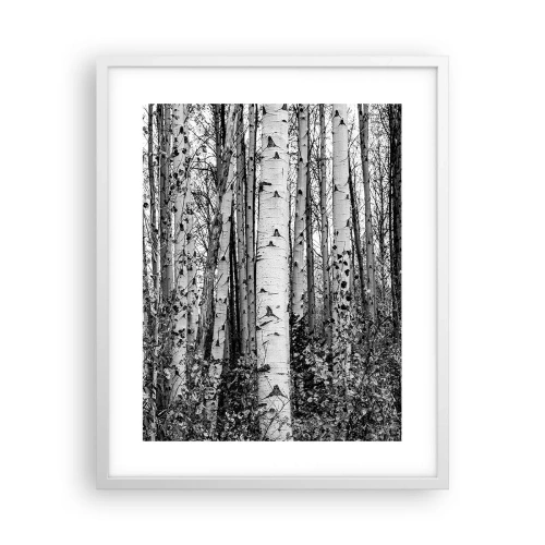 Plakát v bílém rámu - Březová kolonáda - 40x50 cm