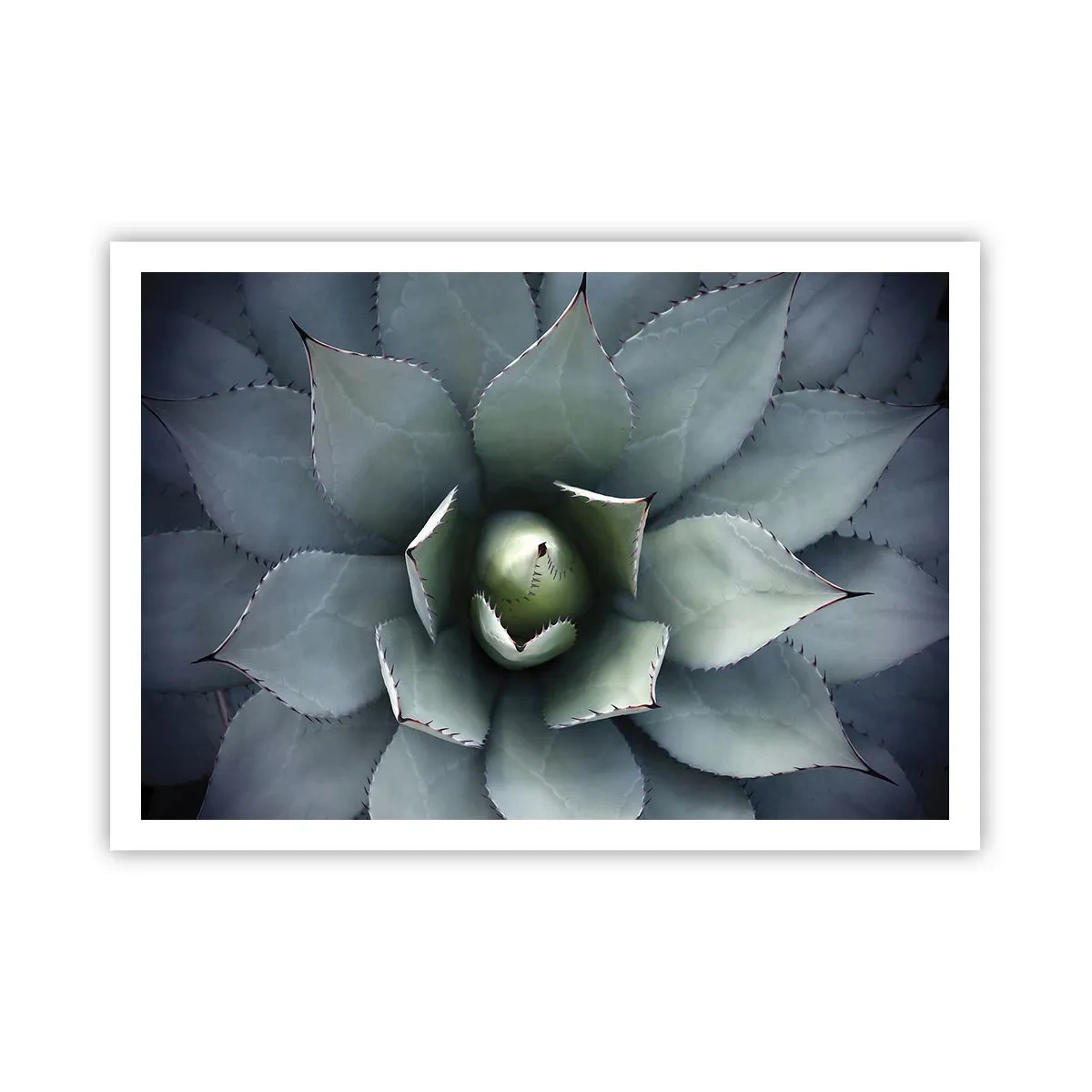 Plakát - Svádí a varuje - 100x70 cm