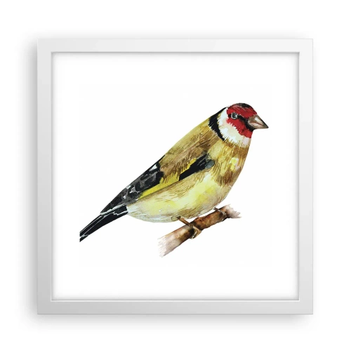 Plakát v bílém rámu - Ptáčí portrét - 30x30 cm