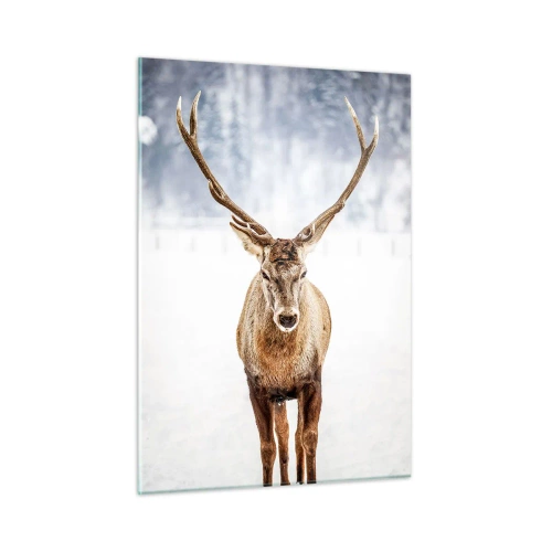 Obraz na skle - Přímo ze sněhové mlhy - 50x70 cm