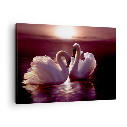 Obraz na plátně - Dvě labutě na klidném jezeře při západu slunce - 70x50cm - Dokud nás smrt nerozdělí - Moderní nástěnná dekorace do obývacího pokoje a ložnice ARTTOR
