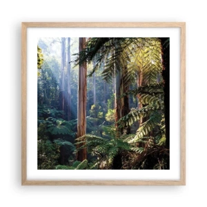 Plakát v rámu světlý dub - Povídka lesa - 50x50 cm