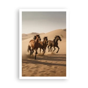 Plakát - Volné jako vítr - 70x100 cm