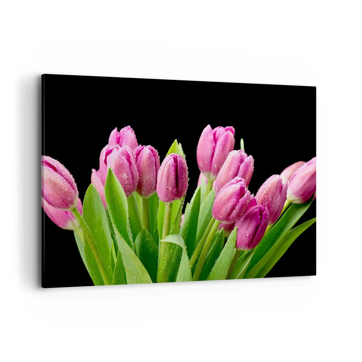 Obraz na plátně - Liliové potěšení jara - 100x70 cm