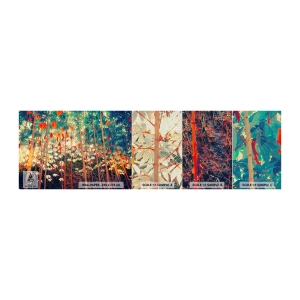 Vzor Fototapety Premium Canvas - Tajný život listů - Tropický les, Příroda, Stromy - 100x30 cm
