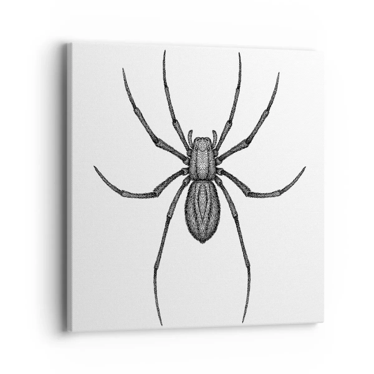 Obraz na plátně - Znepokojivá přesnost - 40x40 cm