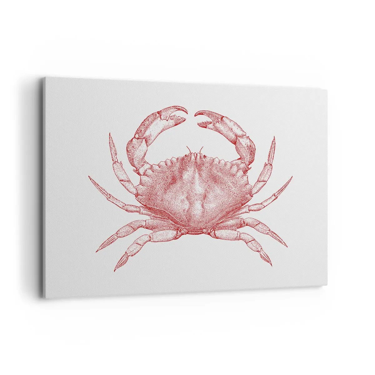 Obraz na plátně - Krab nad kraby - 120x80 cm