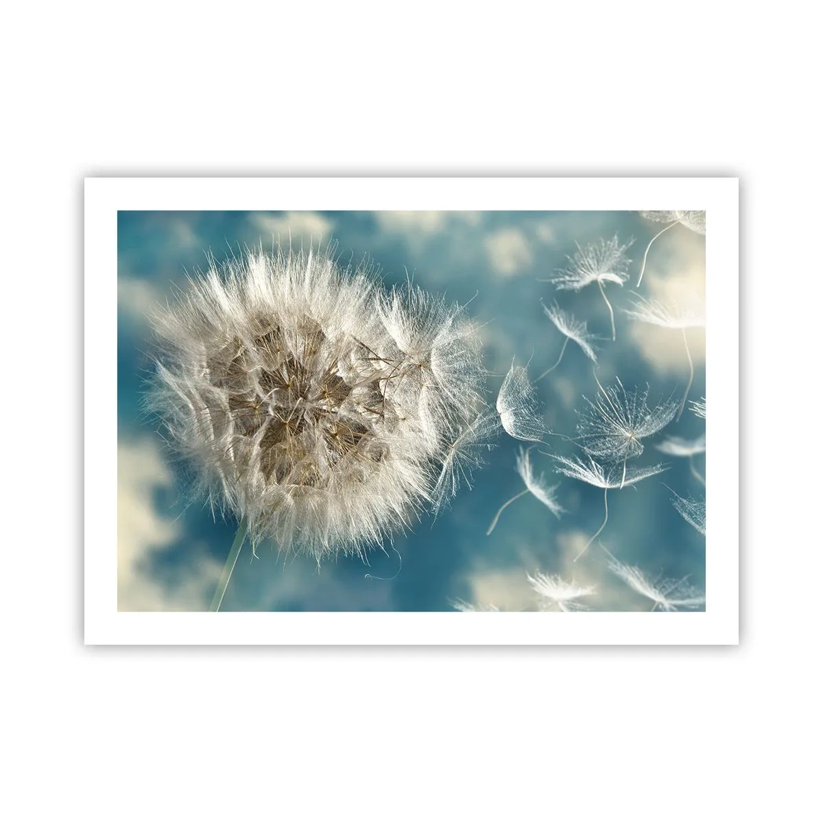 Plakát - Dech anděla - 70x50 cm