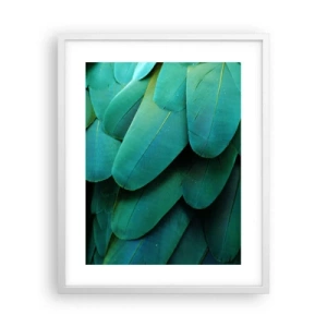 Plakát v bílém rámu - Přesnost papouščí povahy - 40x50 cm