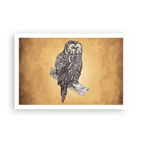 Plakát - Mistrovské ornamenty moudrosti - 91x61 cm