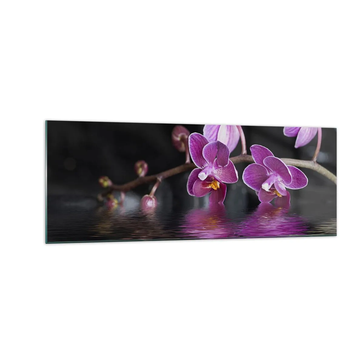 Obraz na skle - Liliový odraz krásy - 140x50 cm