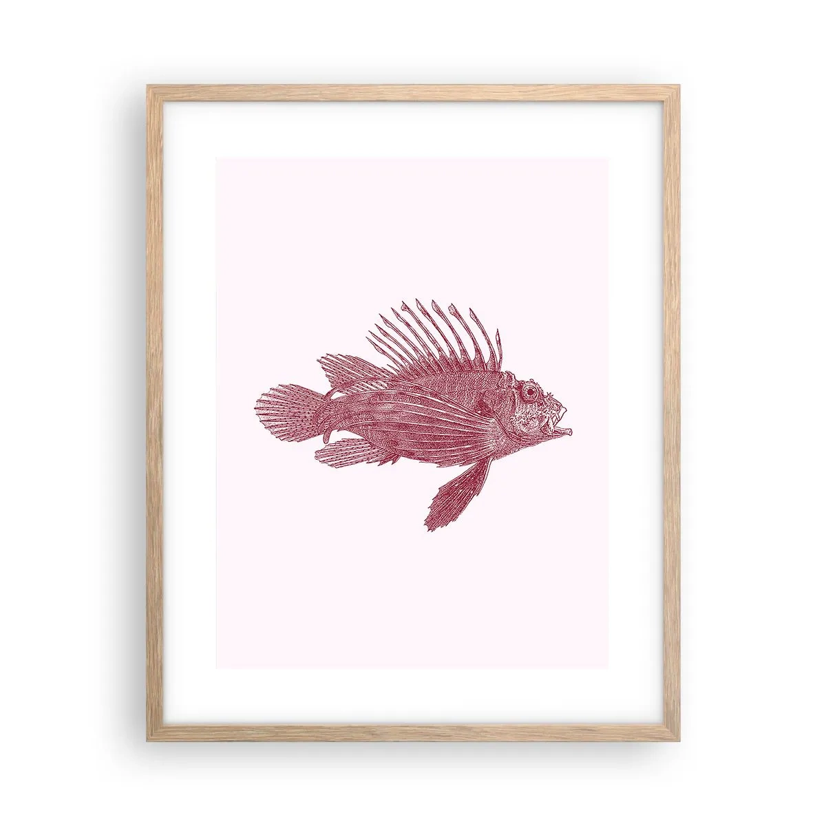 Plakát v rámu světlý dub - Obyvatelka exotických vod - 40x50 cm