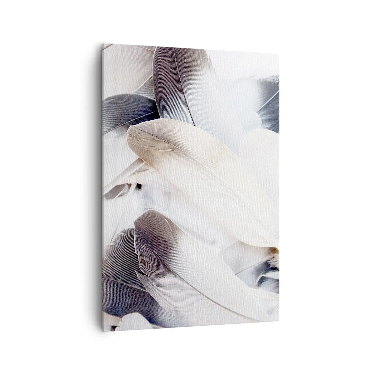 Obraz na plátně - Téměř andělské - 70x100 cm