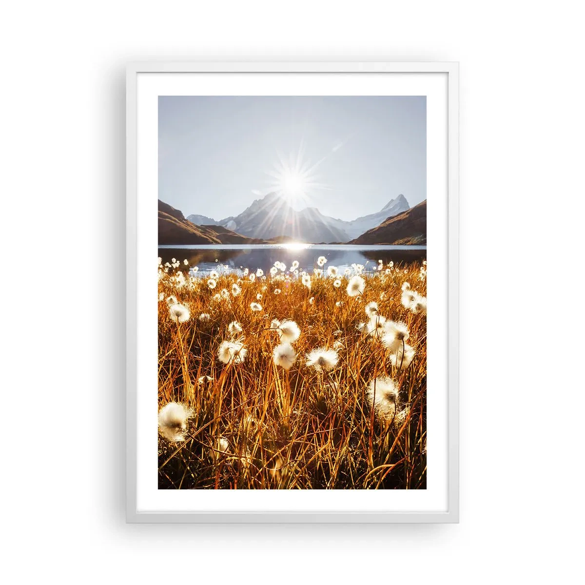 Plakát v bílém rámu - Tvrdost skal, měkkost trav - 50x70 cm